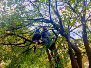 max and nate tree climbing
